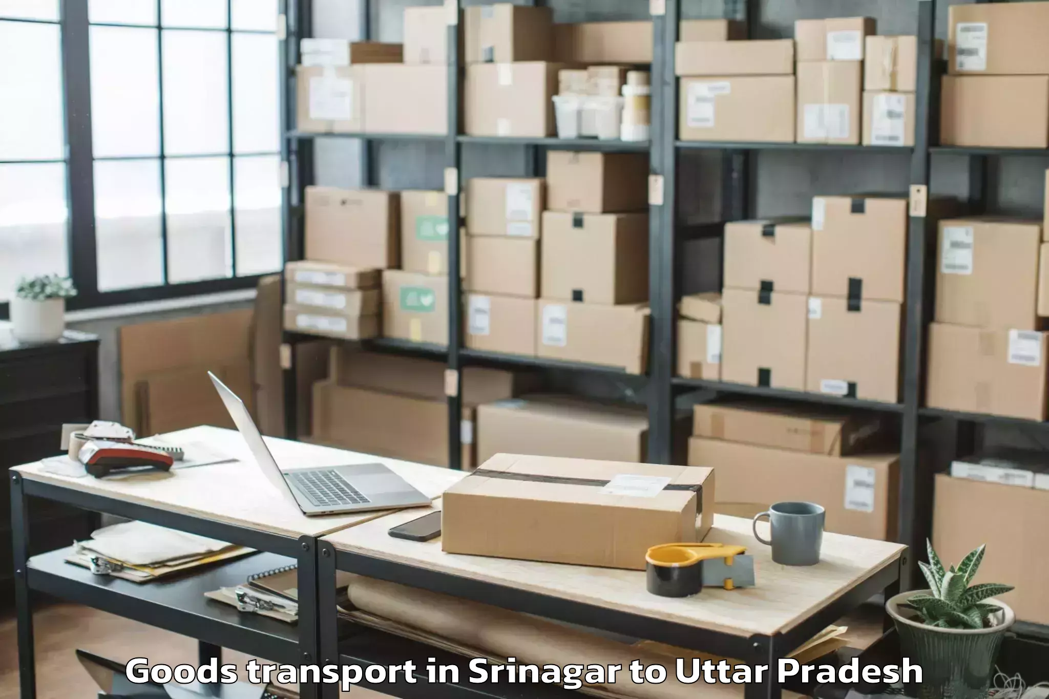 Professional Srinagar to Gardens Galleria Lucknow Goods Transport